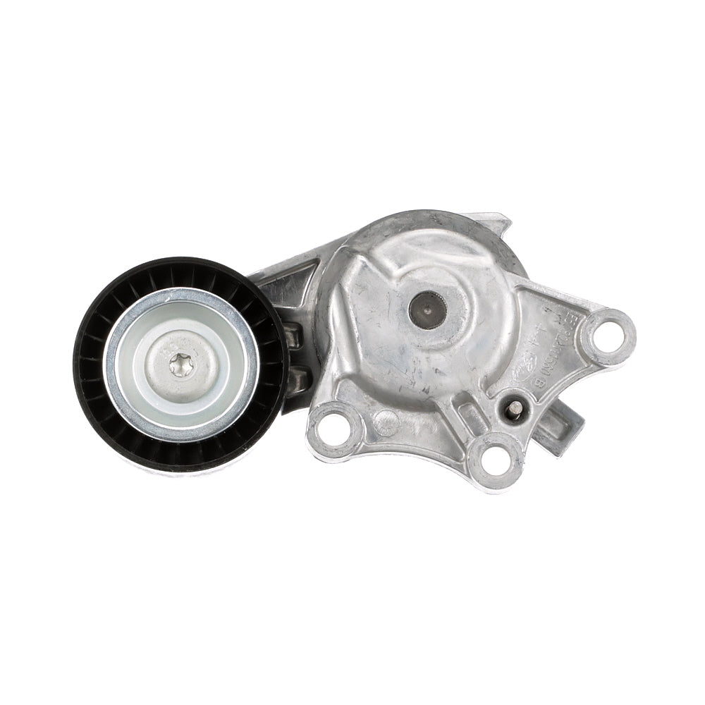 TENSIONERS & PULLEYS - 3008
