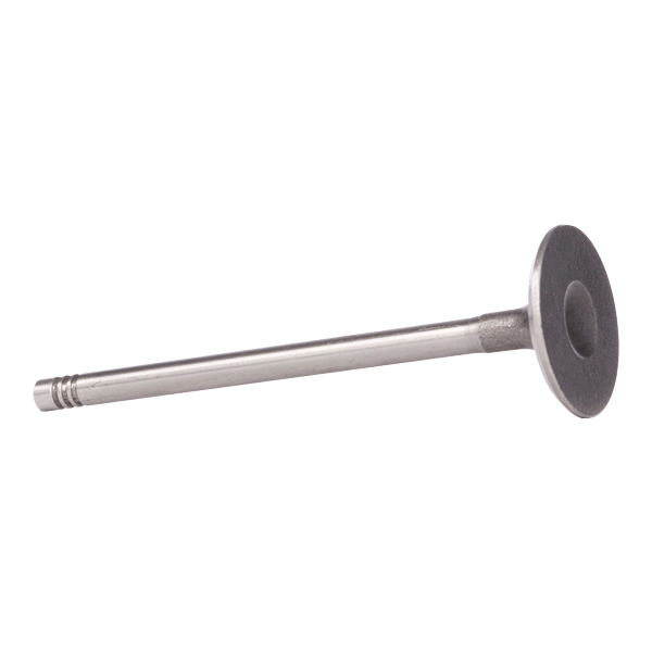 INLET AND EXHAUST VALVES - 106