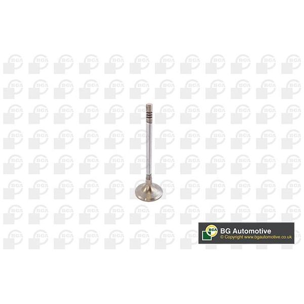 INLET & EXHAUST VALVES - 3008