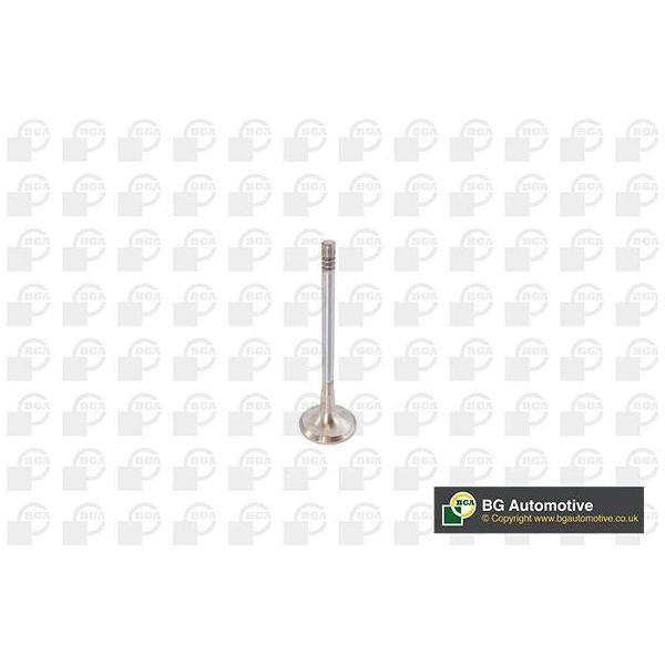 INLET & EXHAUST VALVES - 3008