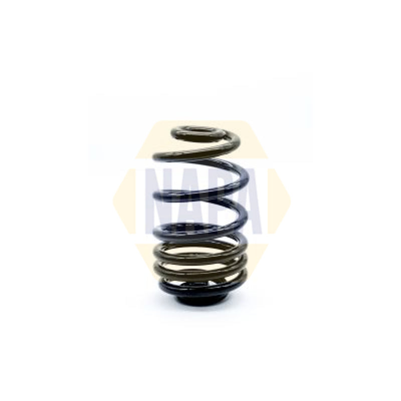 Coil Springs - Renault Trafic 1.6 dCi (2014 onwards)