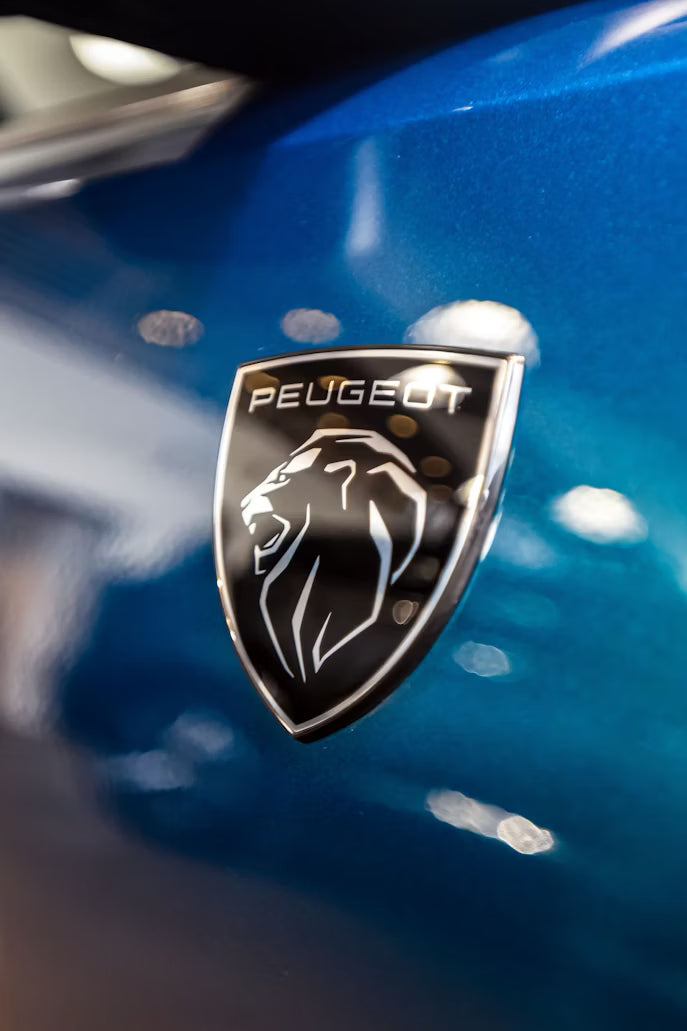 PEUGEOT POLYBUSHES