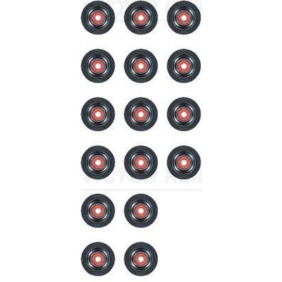 ENGINE SEALS - MEGANE