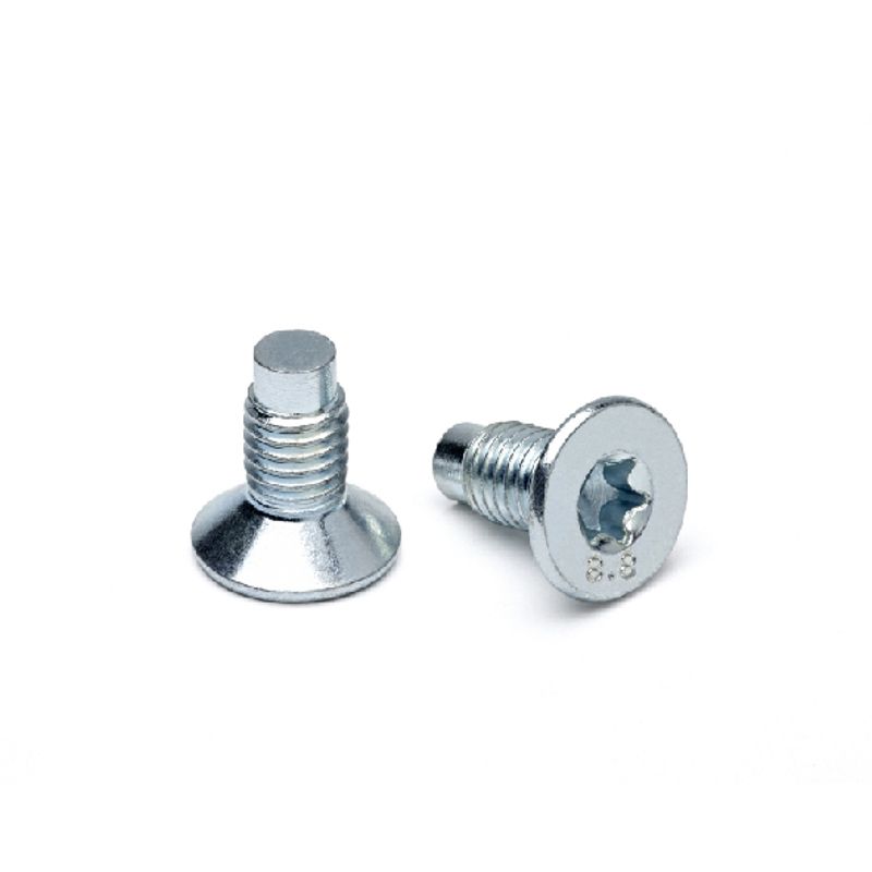 BRAKE DISC SCREWS - MEGANE