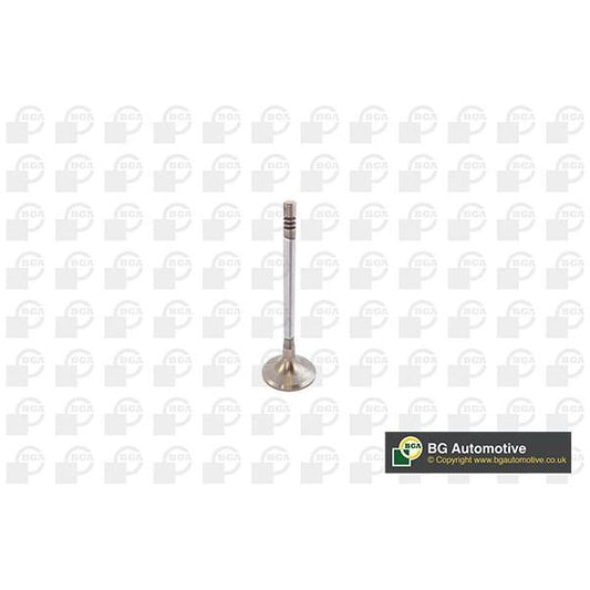 INLET & EXHAUST VALVES - 3008
