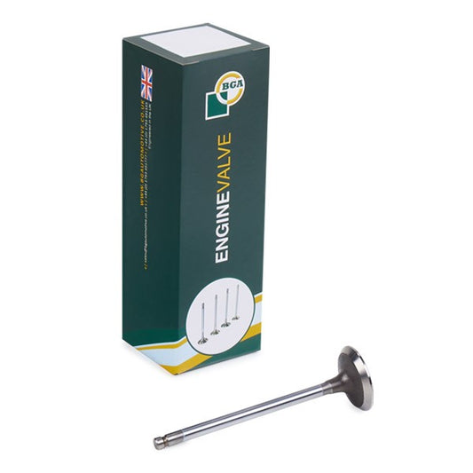 INLET & EXHAUST VALVES - C1