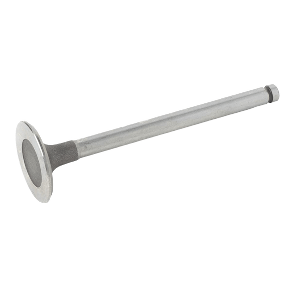 INLET & EXHAUST VALVES - C1