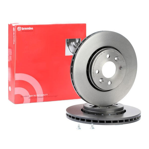 BRAKE DISCS - CLIO