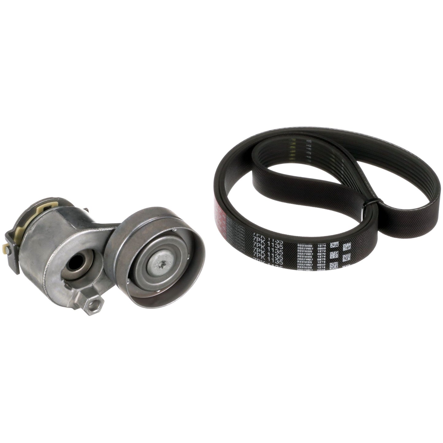 TENSIONERS & PULLEYS - CLIO