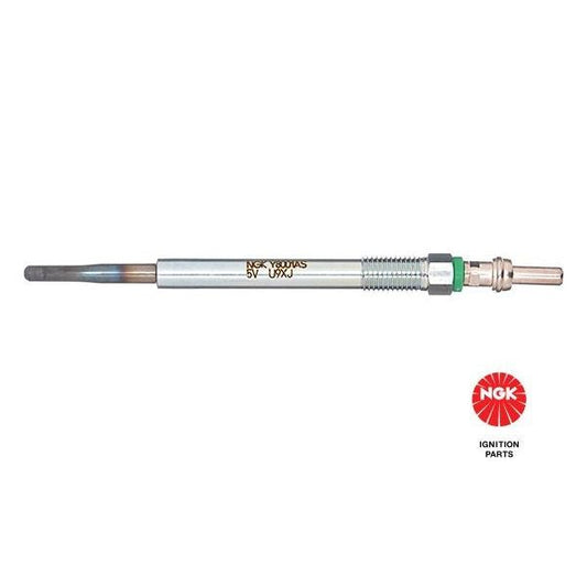 GLOW PLUGS - 3008