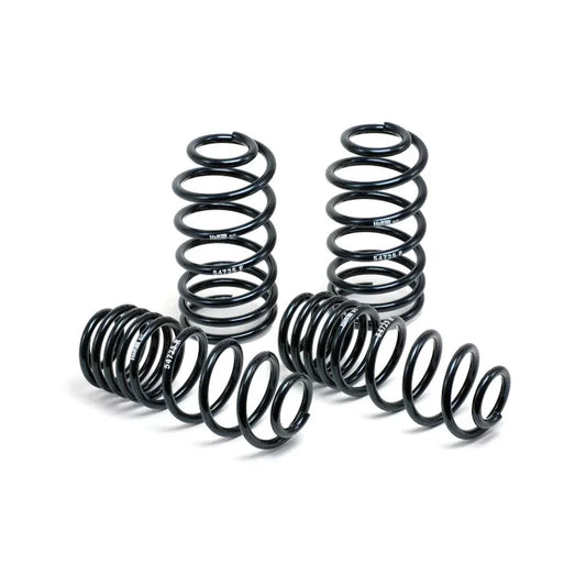 H&R Lowering Springs Renault Megane RS MK3 09+